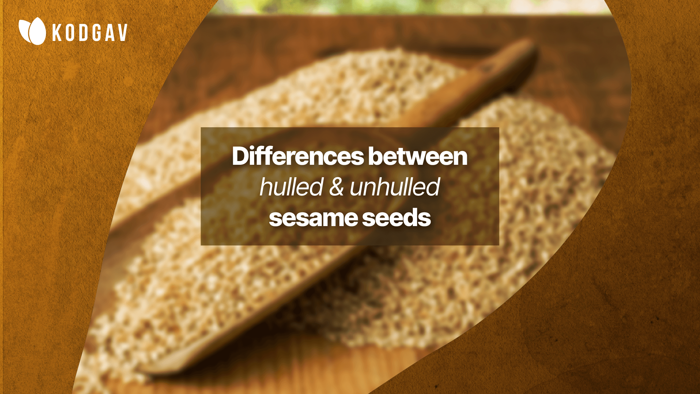 differences-between-hulled-and-unhulled-sesame-seeds